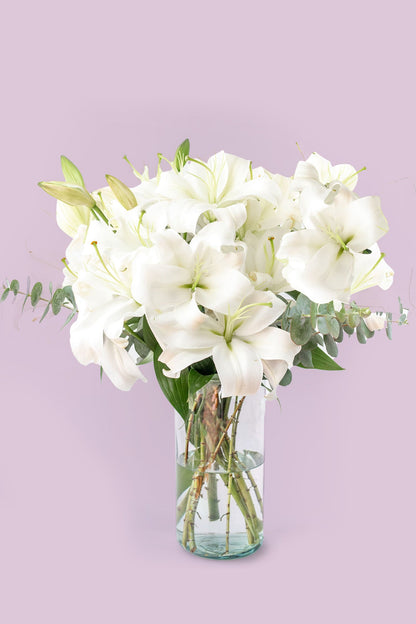 Casa Blanca - Lilium Blanca SAL