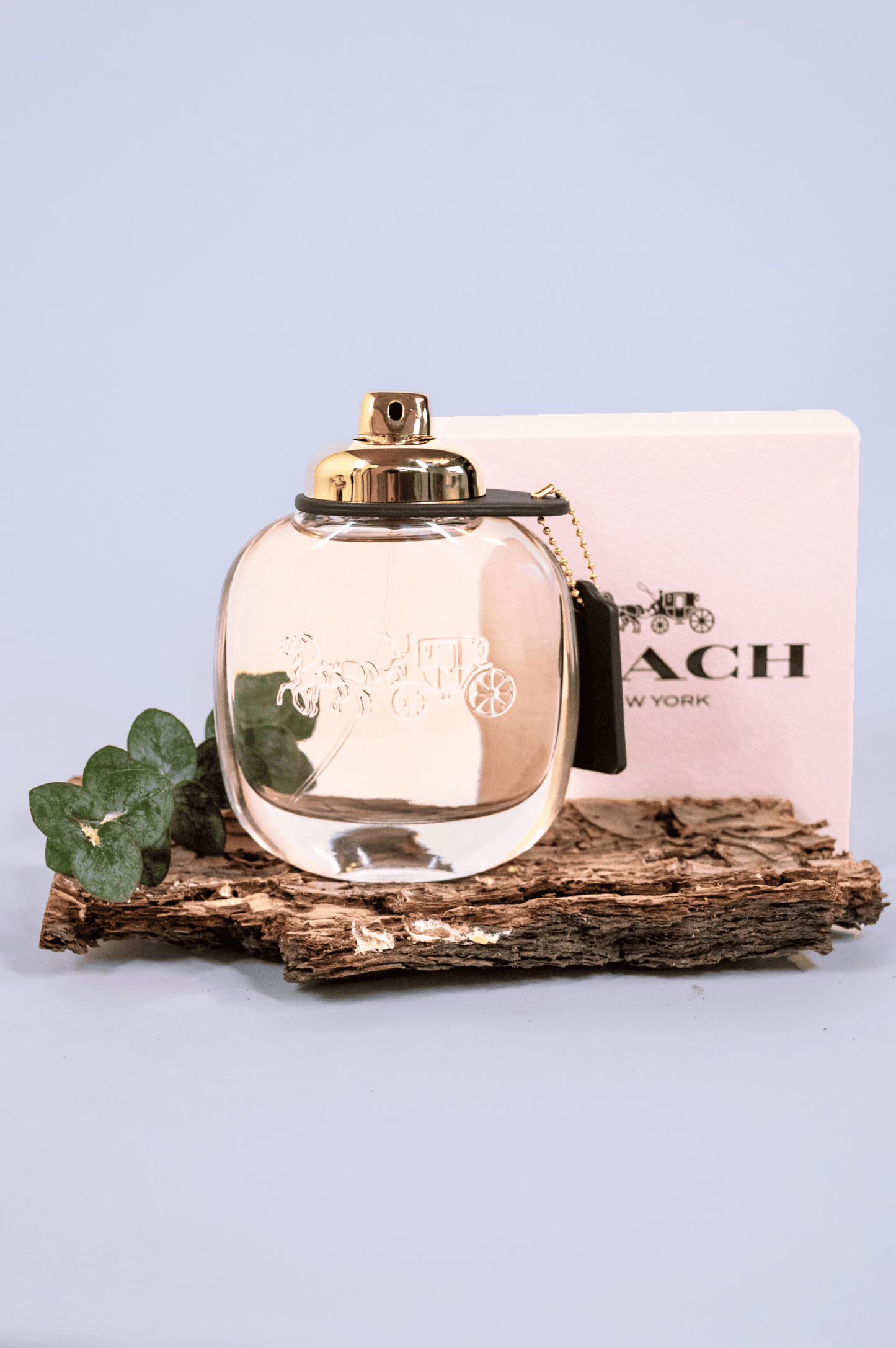 Coach – Eau de Parfum Mujer