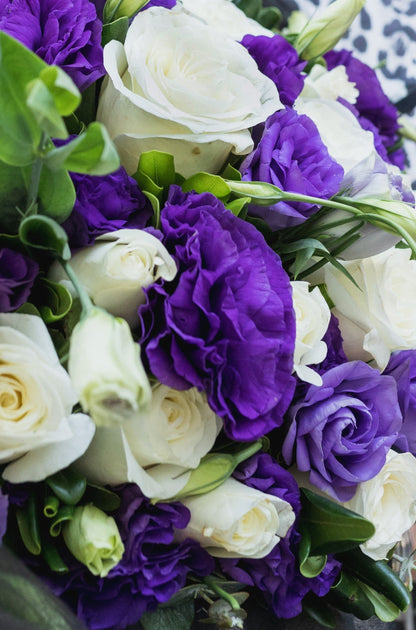 Bouquet de Alba / Rosa Blanca y Lisianthus Morado SLP