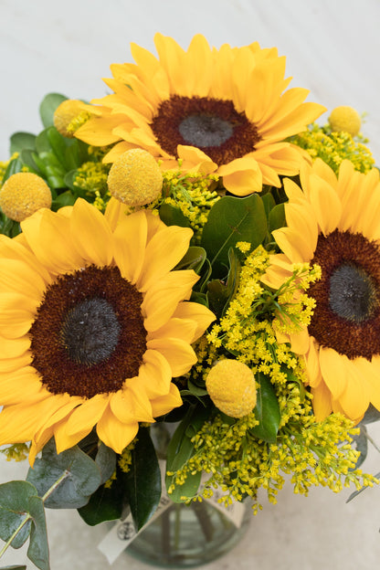 Eterna Primavera - Girasol y Craspedia VALLARTA