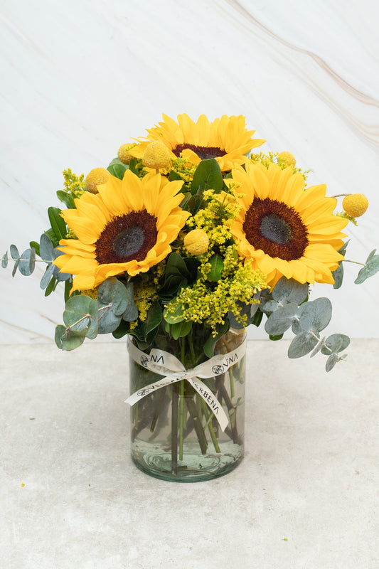 Eterna Primavera - Girasol y Craspedia PTO. ESCOND.