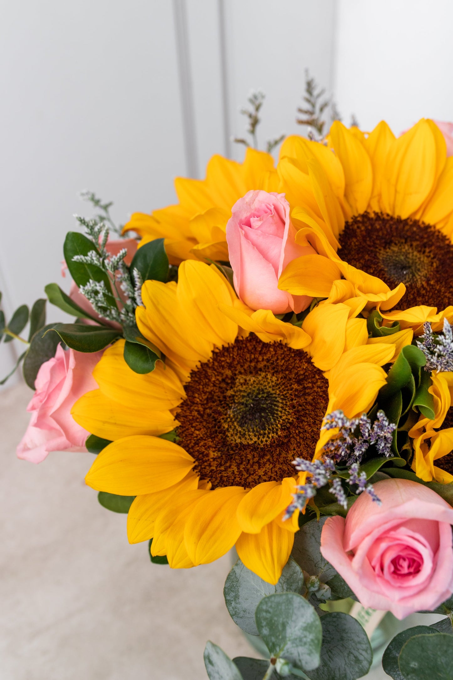 Arizona / Girasol con Rosa Clarita QRO