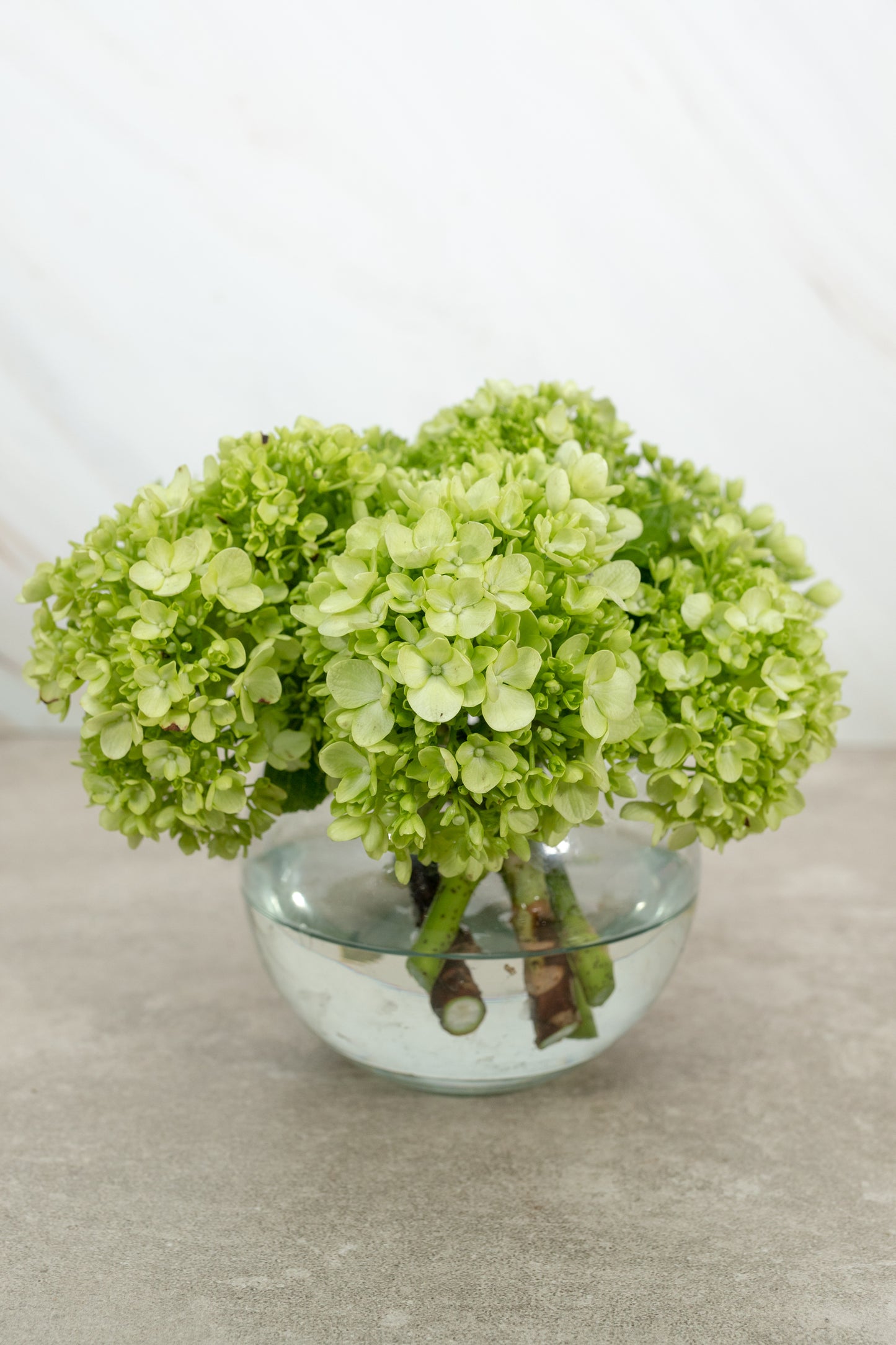 Centro de Mesa 6 - Hortensia con Florero