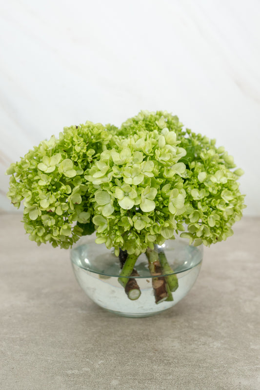 Centro de Mesa 6 - Hortensia con Florero