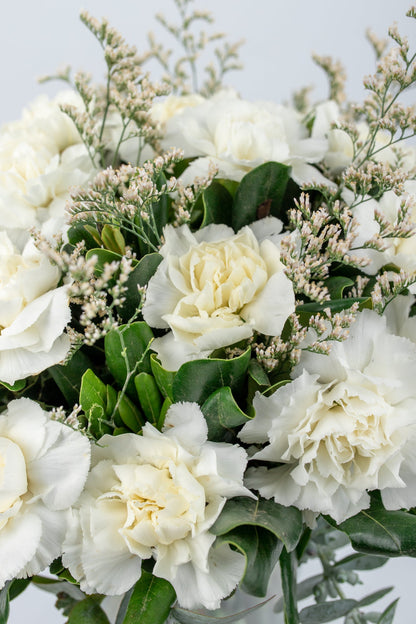 Rivera Flores - Clavel Blanco TGZ