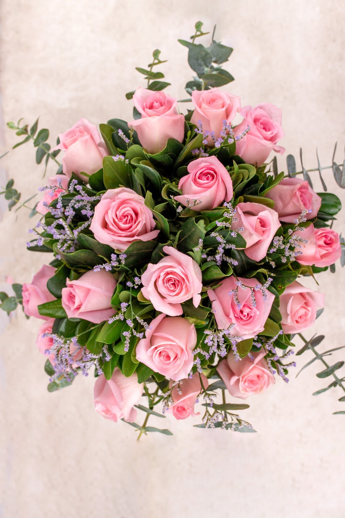 Amanecer - Rosa Clarita XAL