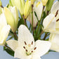 Perla - Lilium Blanca en Florero Negro