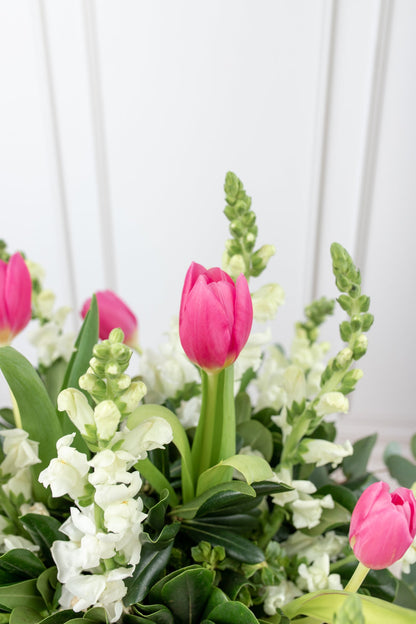 Aires de Holanda / Tulipán y Perrito Blanco M