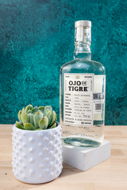 Kit Ojo de Tigre 750 ml - Ferreros, Cacahuates + Suculenta