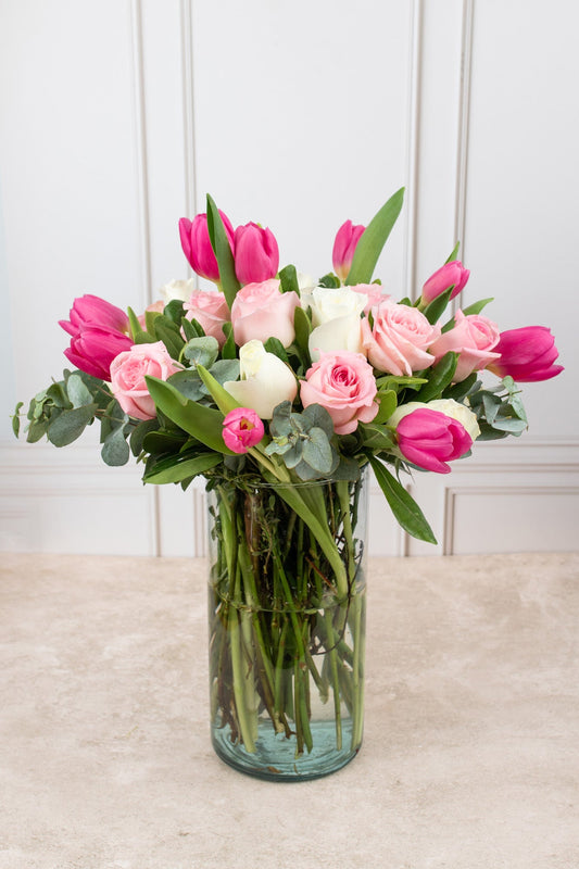 Rosa Holandesa / Tulipán, Rosa Blanca y Rosa Clarita M