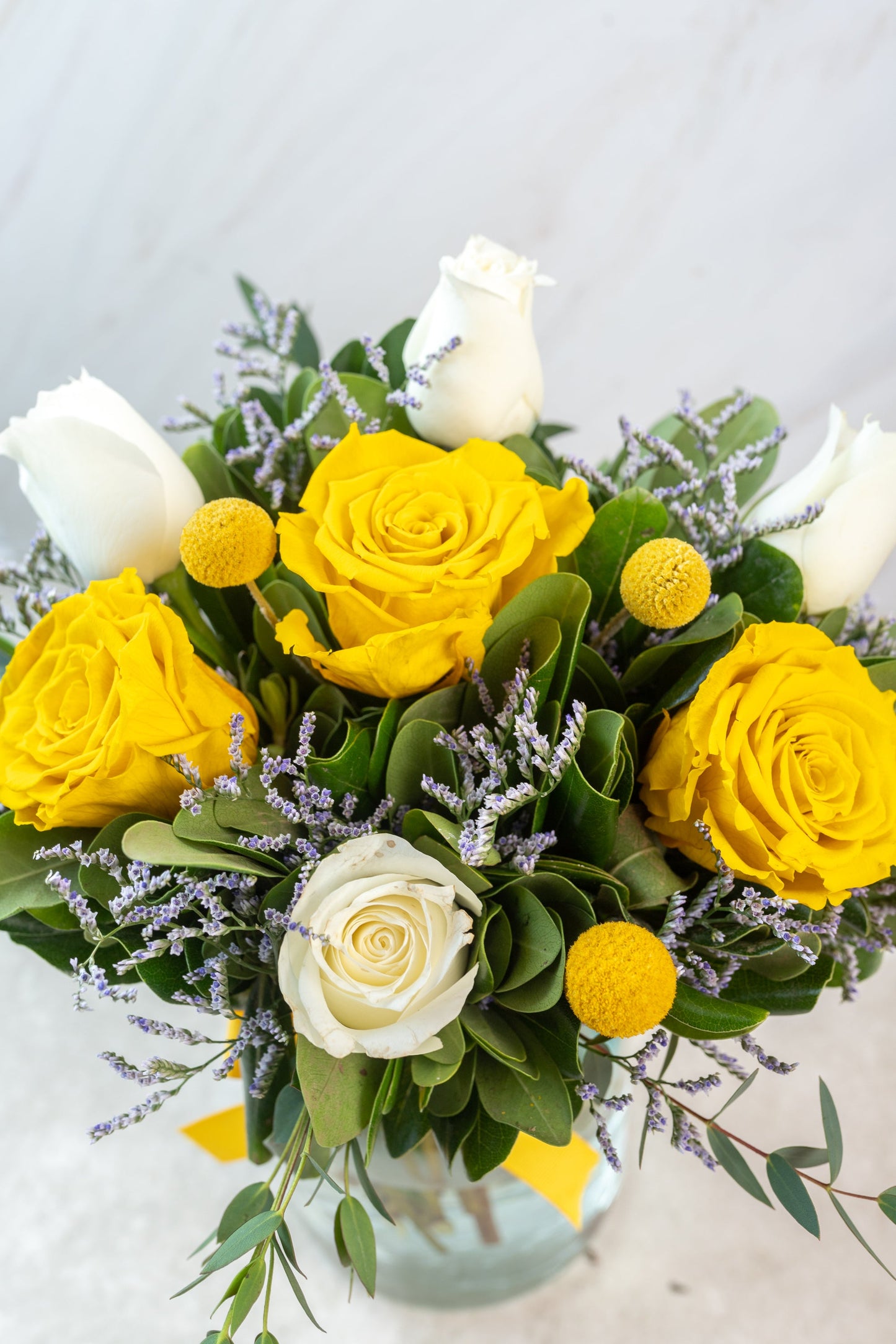 Mimosa - Rosa Amarilla Eterna con Rosa Blanca y Craspedia OAX CENTRO