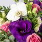 Verona - Caja de Rosas Claritas y Rojas con Lisianthus y Orquídea DGO