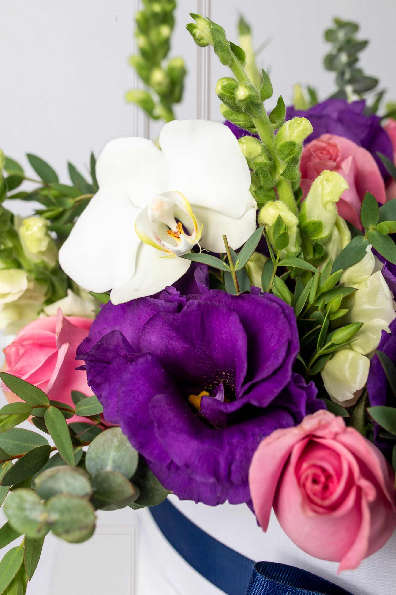 Verona - Caja de Rosas Claritas y Rojas con Lisianthus y Orquídea DGO
