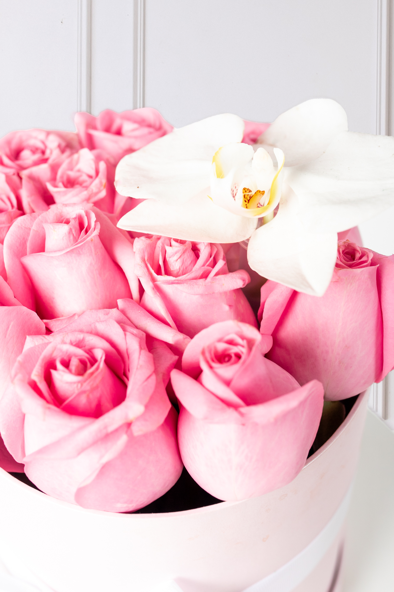 Everest - Caja de Rosas Claritas y Orquídea CH DGO