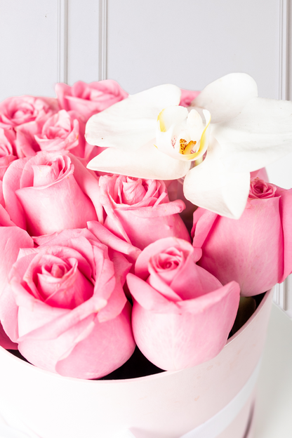 Everest - Caja de Rosas Claritas y Orquídea CH