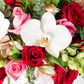 Destino - Caja de Rosas Rojas y Rosas con Orquídea