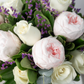 Santorini - Peonia Rosa y Rosa Blanca