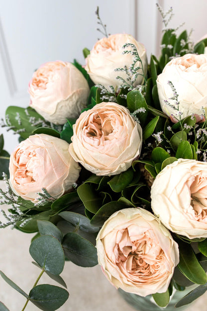 Limonada Rosa - Peonia Eterna Rosa Atizapán