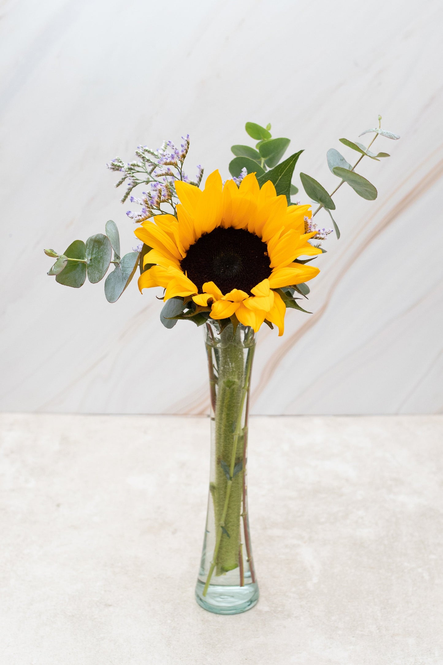 Rayito de Sol - Girasol OAX CENTRO