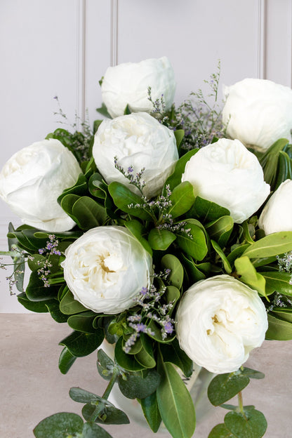 Bondad // Peonia Blanca