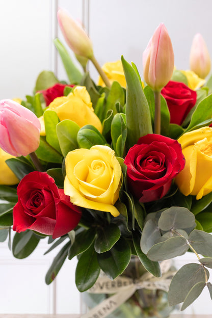 Ámbar - Tulipán, Rosa Amarilla y Roja