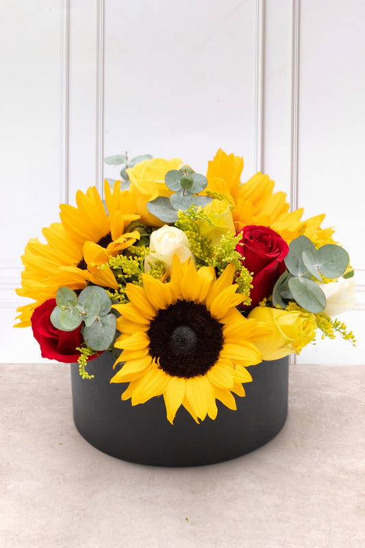 Ricitos de Oro / Girasol, Rosa Amarilla, Blanca y Roja QRO