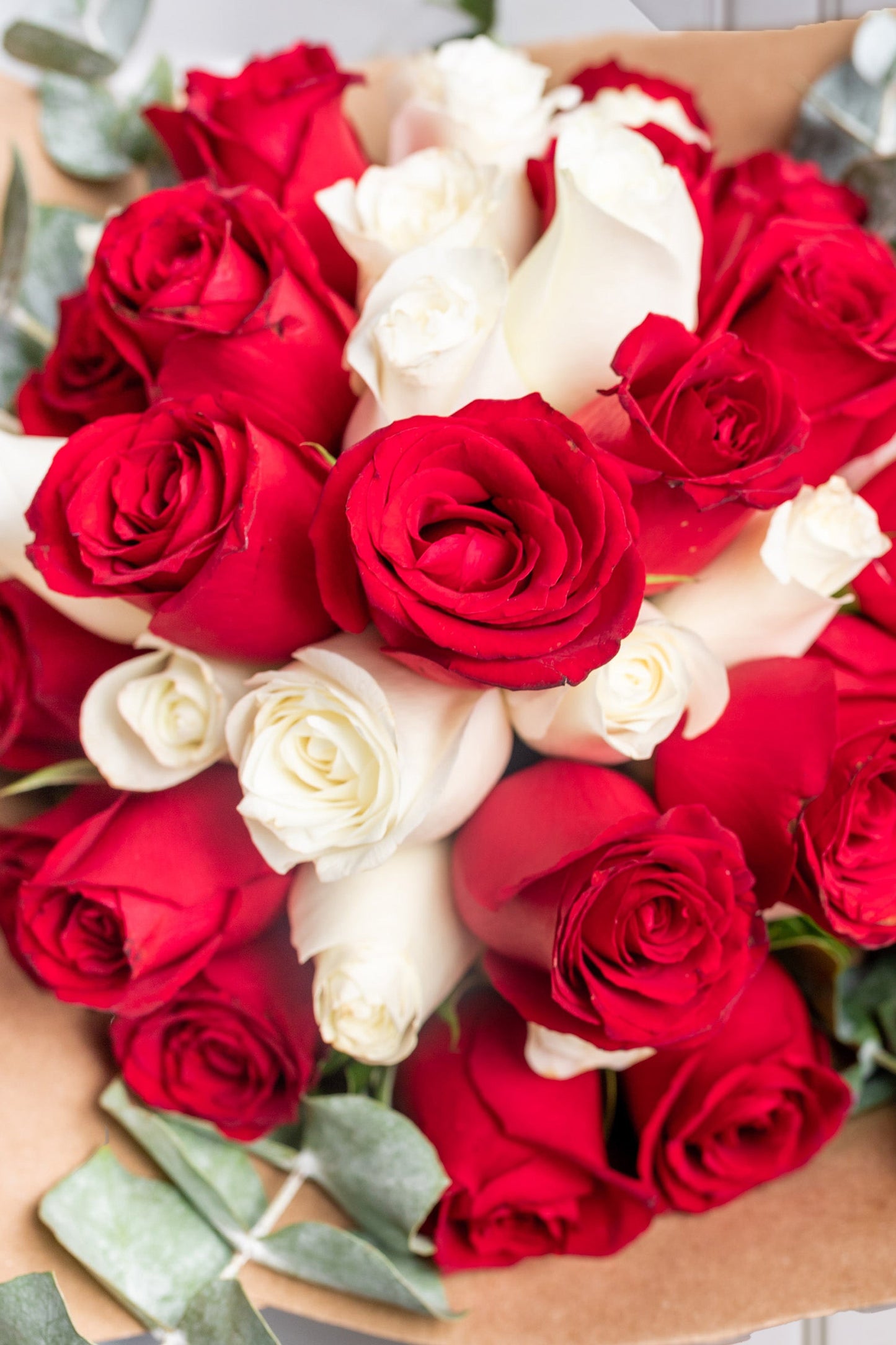 Ramo Buchón - 50 Rosas Roja y Blanca LOS CABOS