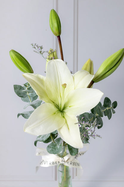Algodoncito / 1 Lilium Blanco en Violetero