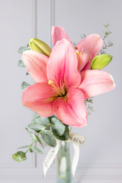 Brisa de Mar - 1 Lilium Rosa en Violetero XAL