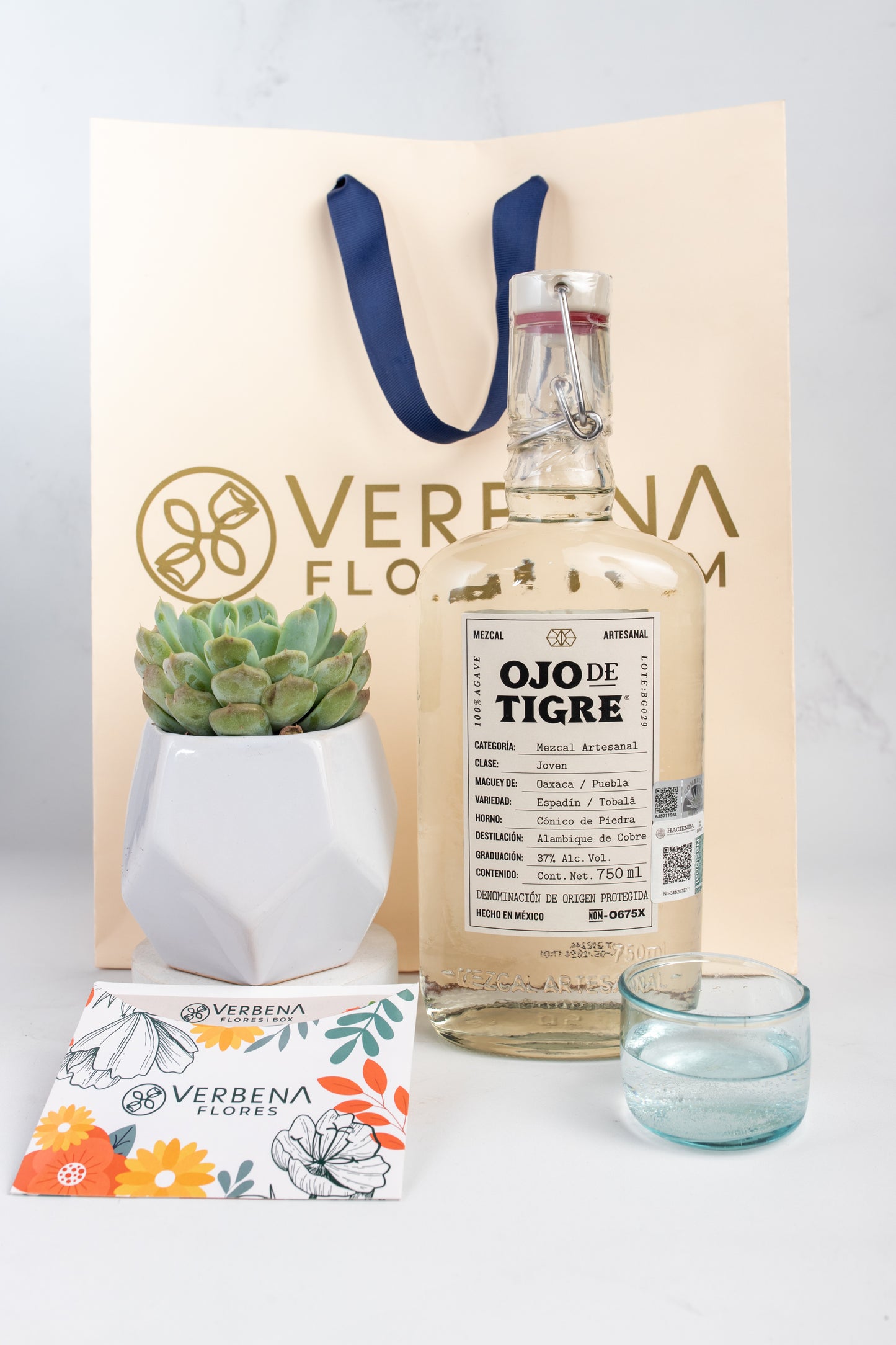 Kit Ojo de Tigre - Mezcal y Suculenta