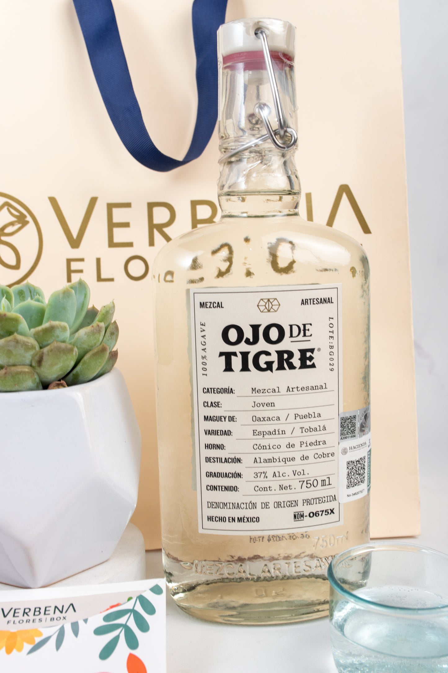 Kit Ojo de Tigre - Mezcal y Suculenta