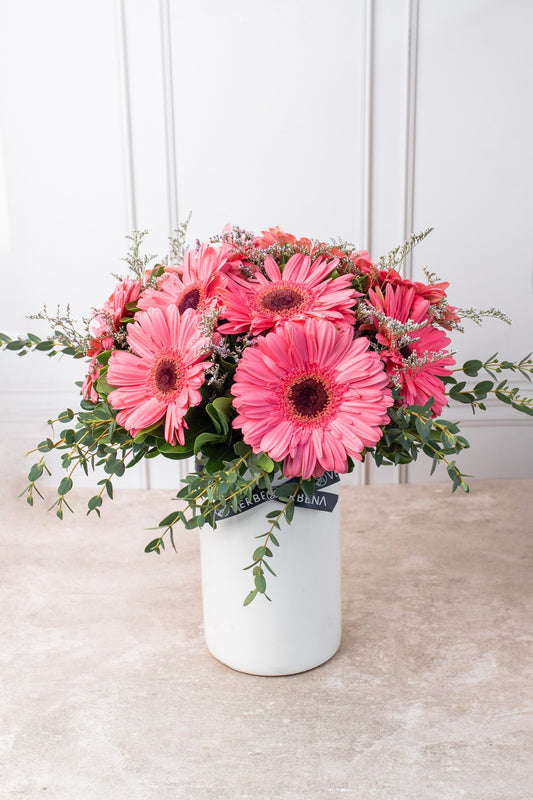 Dulce Primavera // Gerbera Rosa APO