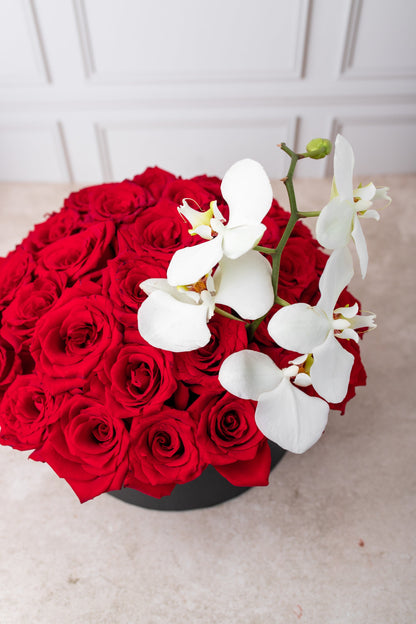 Escarlata - Caja de Rosas Rojas con Orquídea Blanca GDL