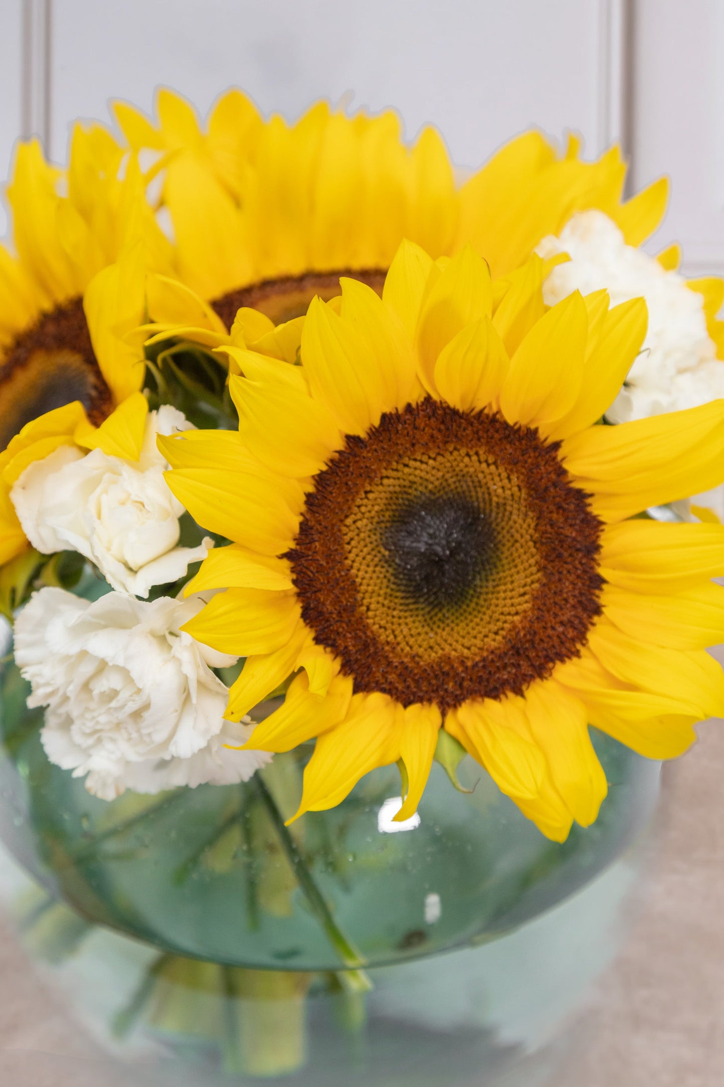 Centro de Mesa 3 - Girasol y Clavel Blanco VILLA