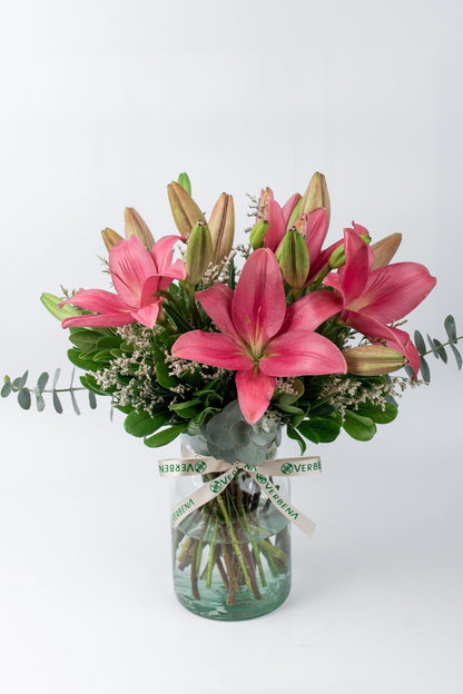 Las Brisas // Lilium Rosa APO