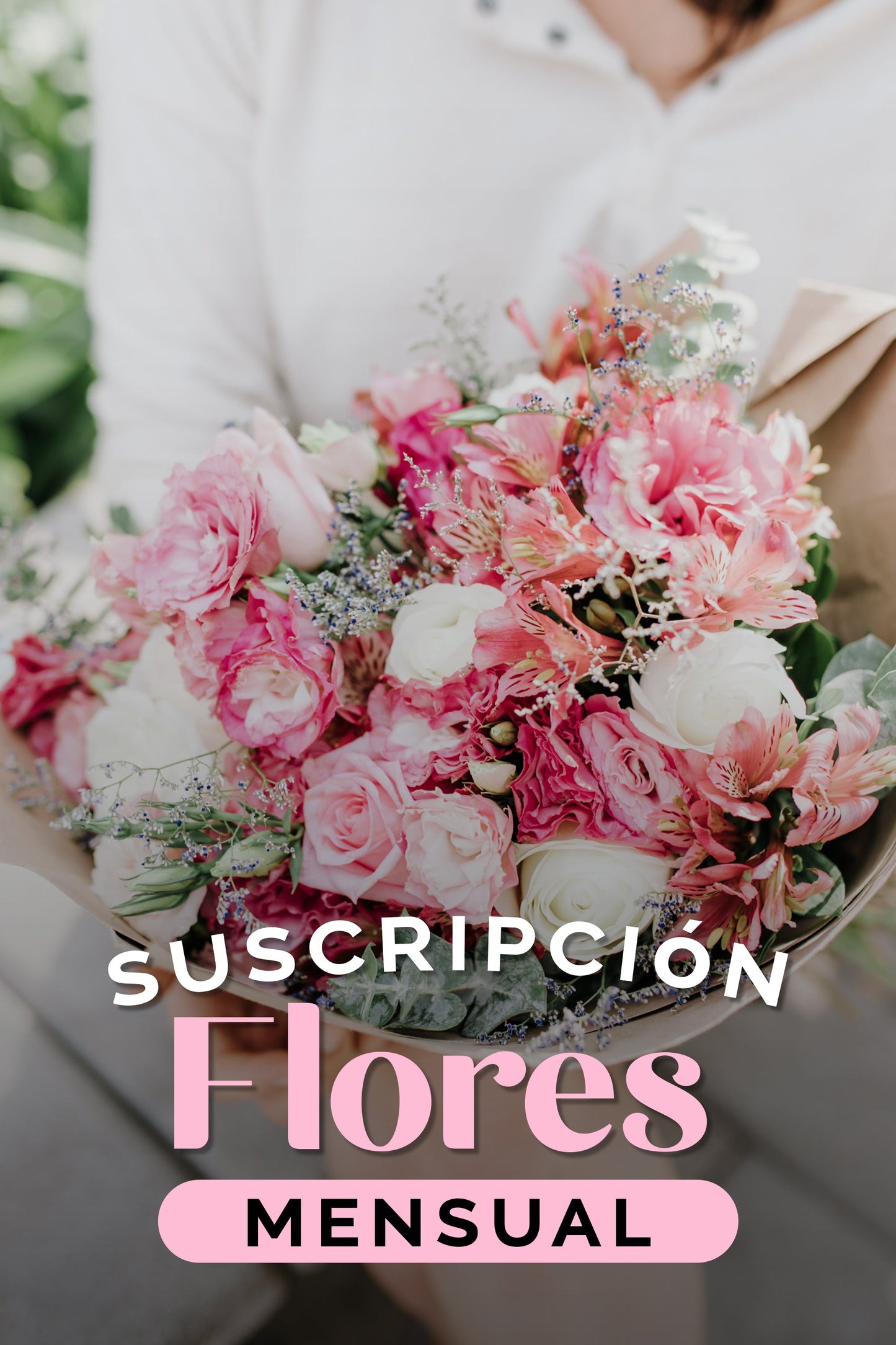 Suscripción Mensual SLP