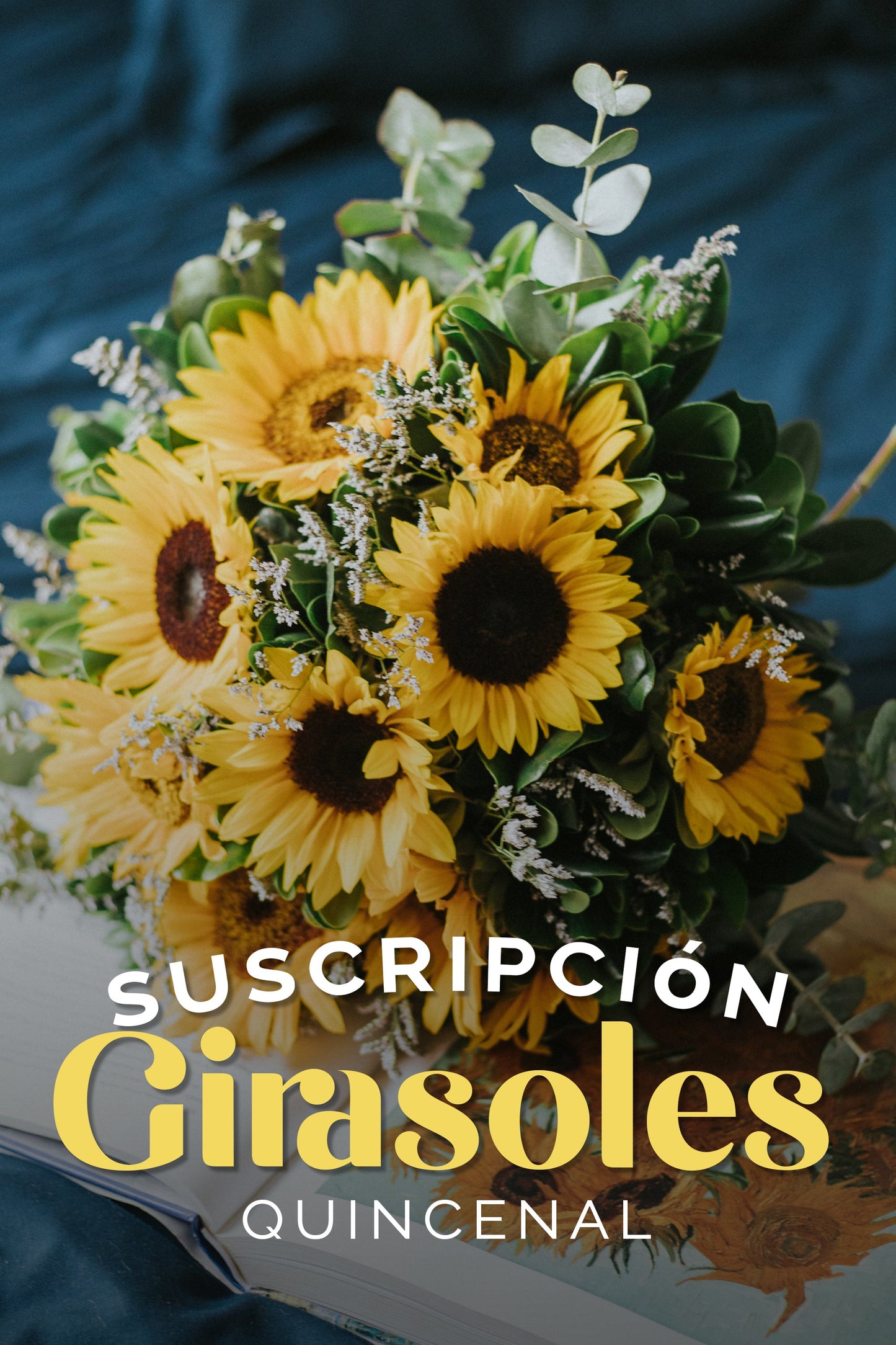 Suscripción Girasoles Quincenal SLP