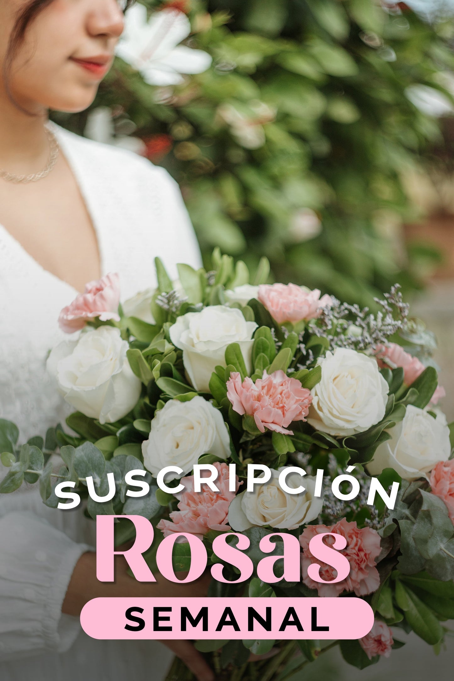 Suscripción Rosas Semanal SLP