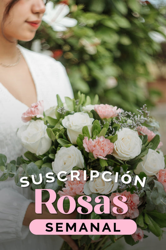 Suscripción Rosas Semanal SLP