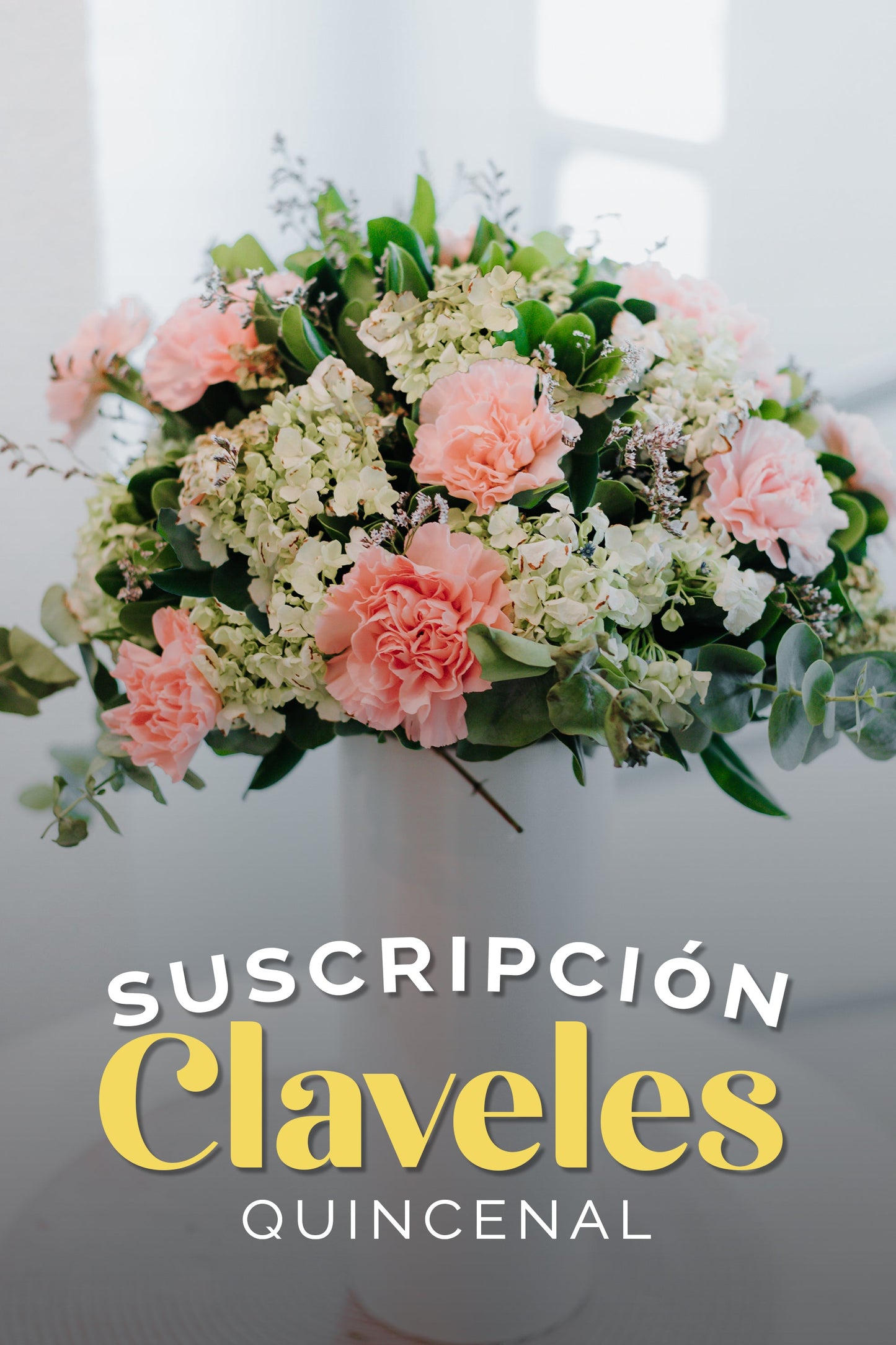 Suscripción Claveles Quincenal SLP