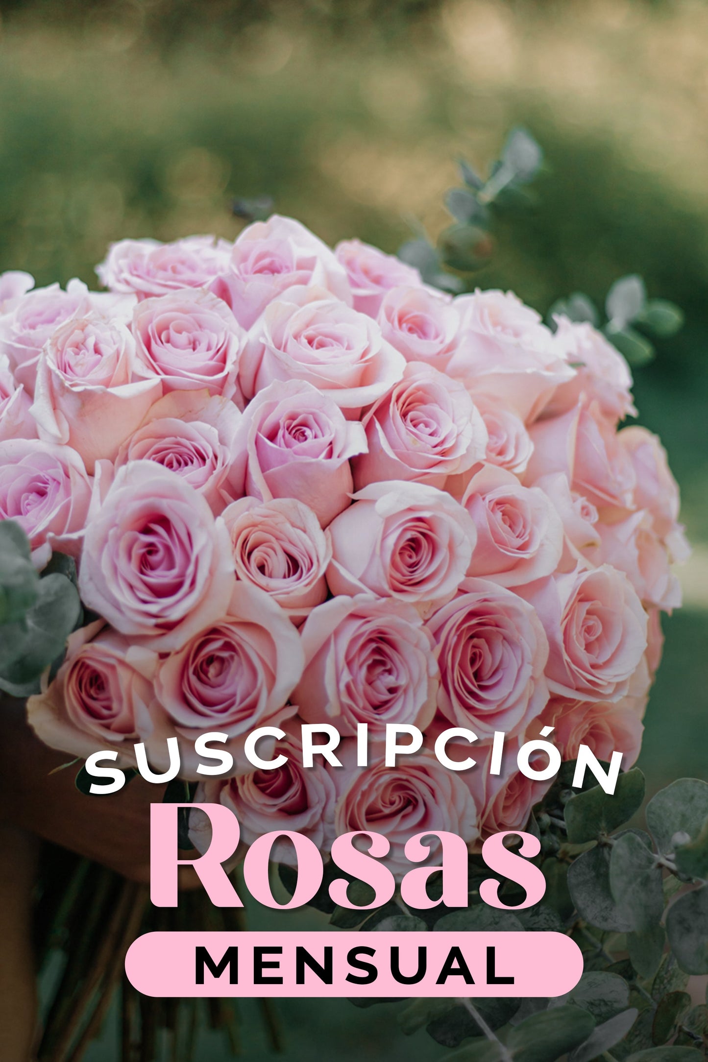 Suscripción Rosas Mensual SLP