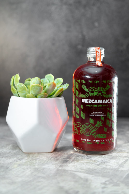 Kit Mezcamaica - Mezcal y Suculenta