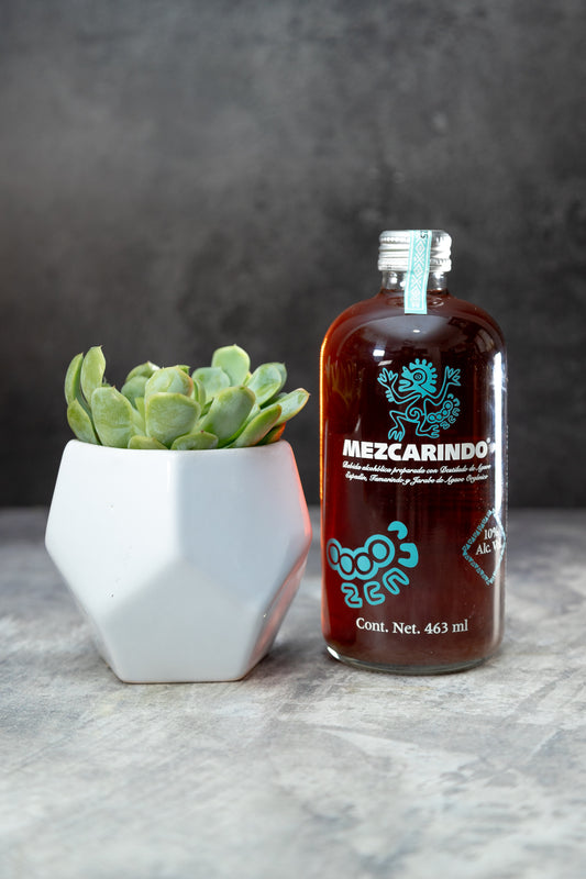 Kit Mezcarindo - Mezcal y Suculenta