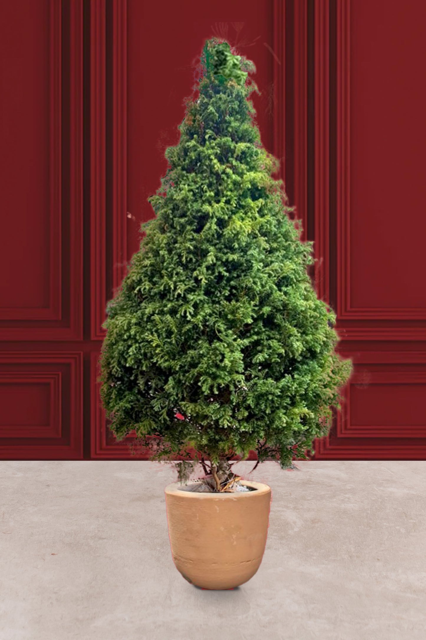 Árbol de Navidad - Ecológico