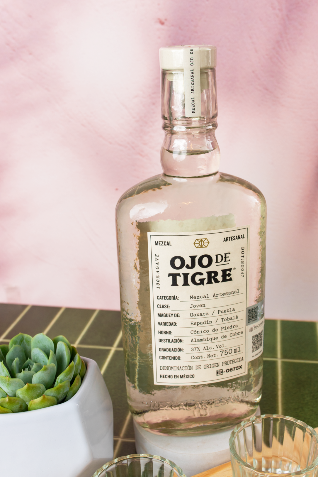 Kit Ojo de Tigre - Tabla Personalizada y Suculenta