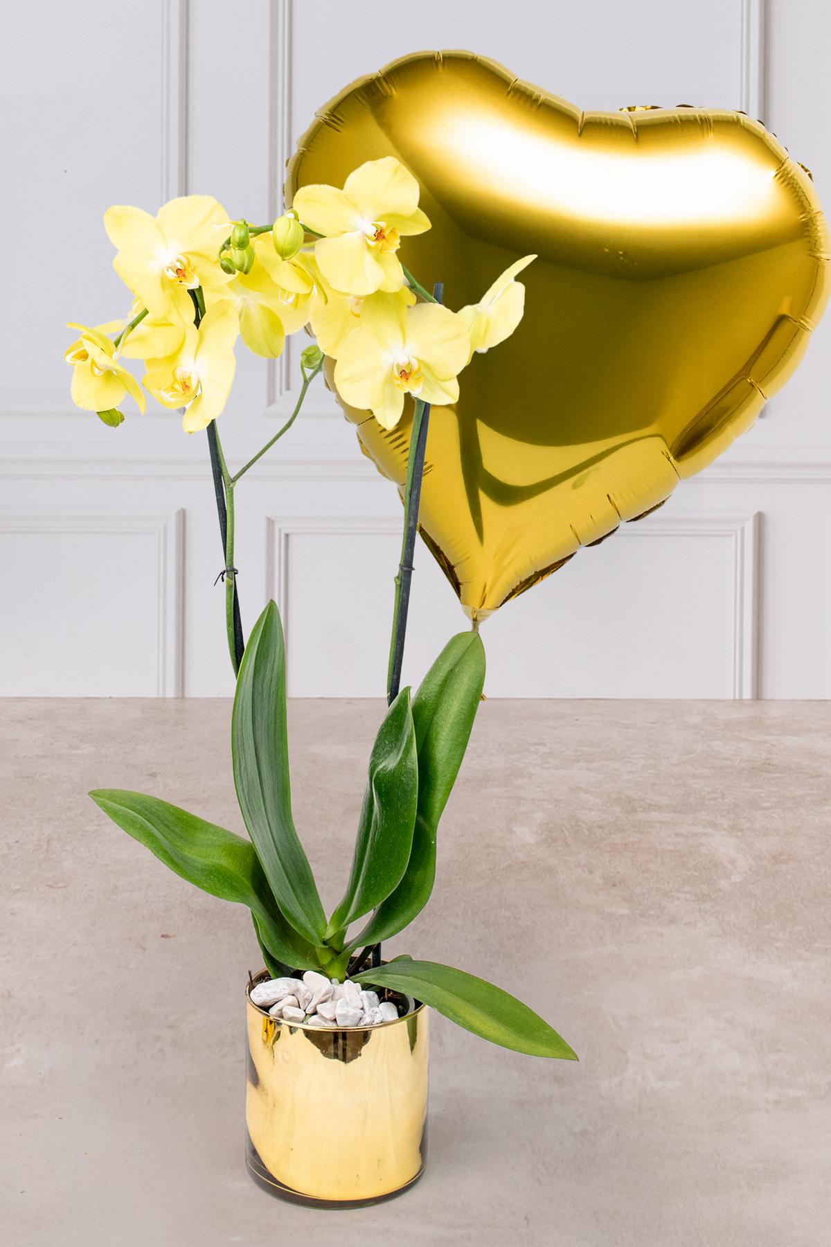 Globo Corazón Amarillo con Orquídea Amarilla - En Maceta Dorada | Verbena 21S