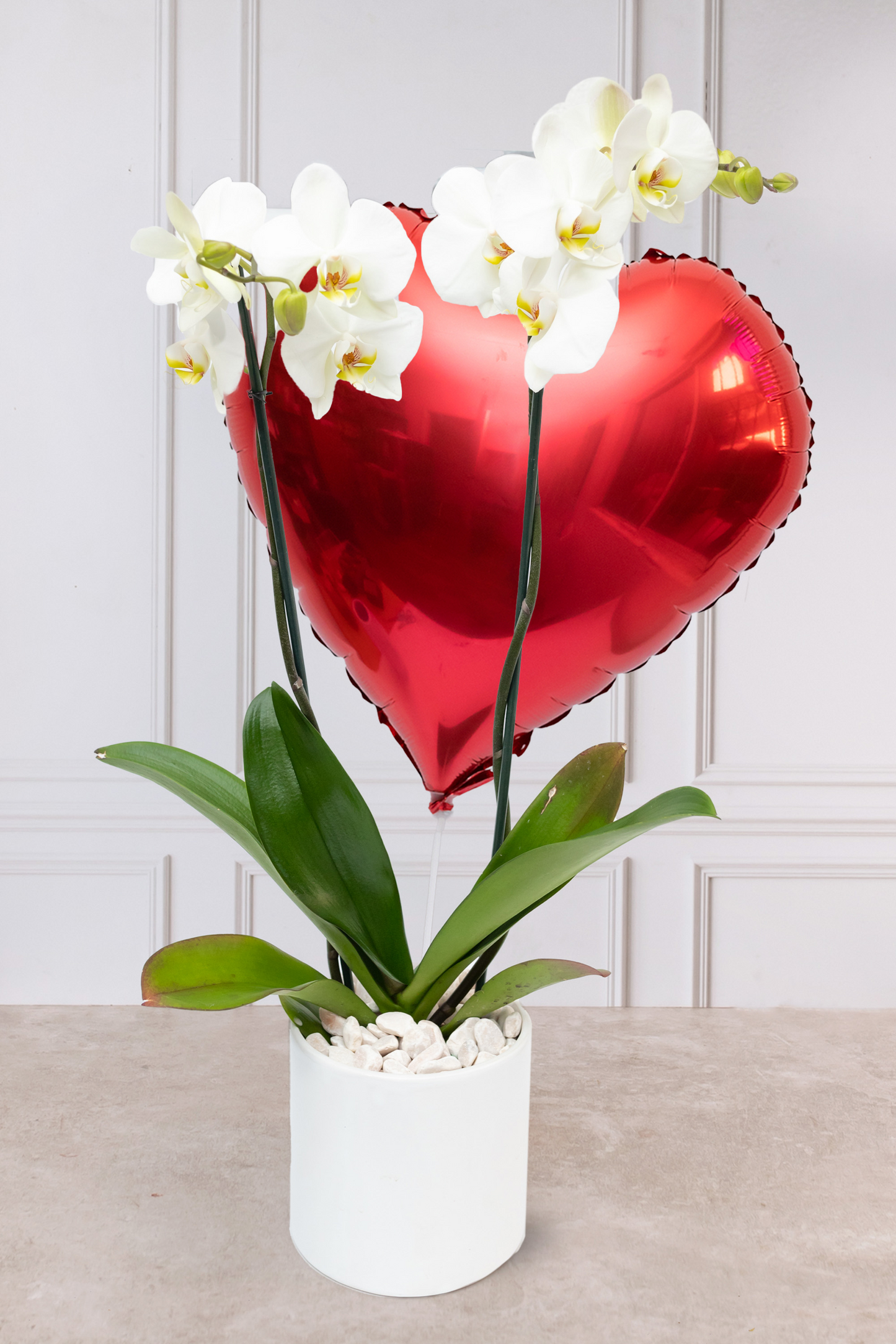 Orquídea Blanca SV - Maceta Blanca CUN