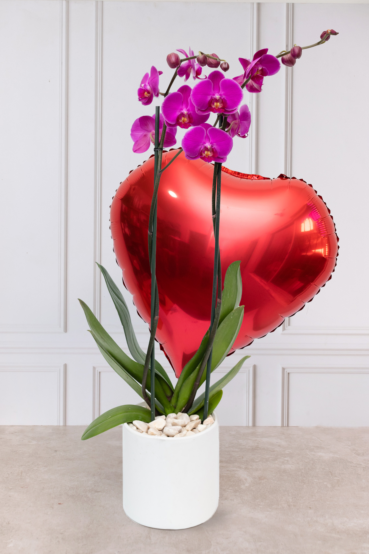 Orquídea Morada SV - Maceta Blanca