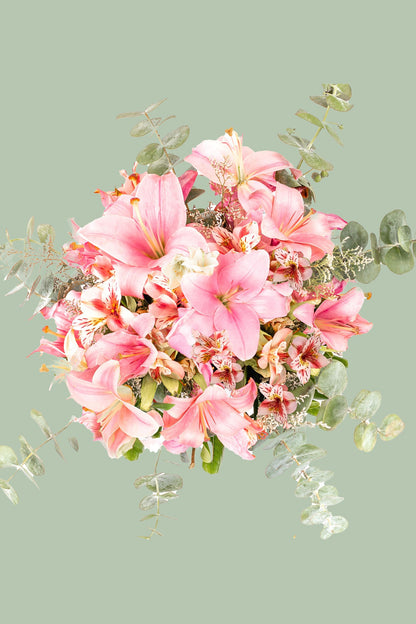 Pantera Rosa - Lilium Rosa PTO. ESCOND.
