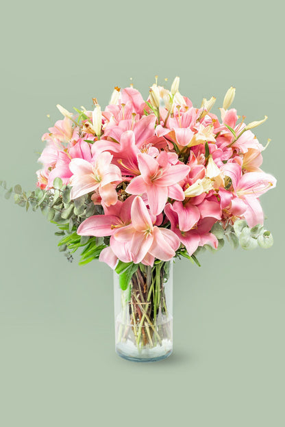 Pantera Rosa - Lilium Rosa TGZ